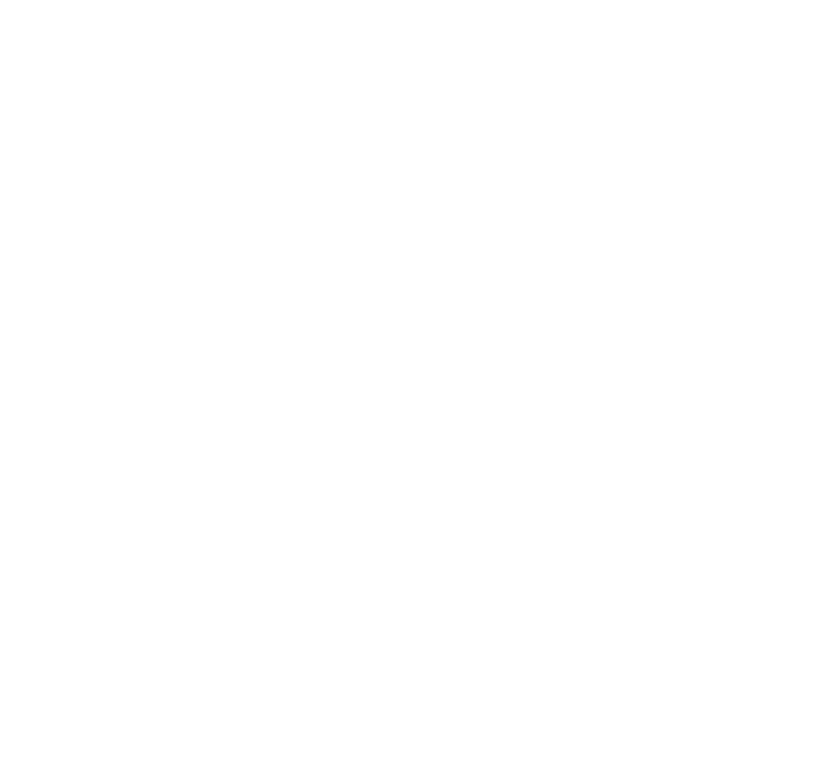Drache Productions